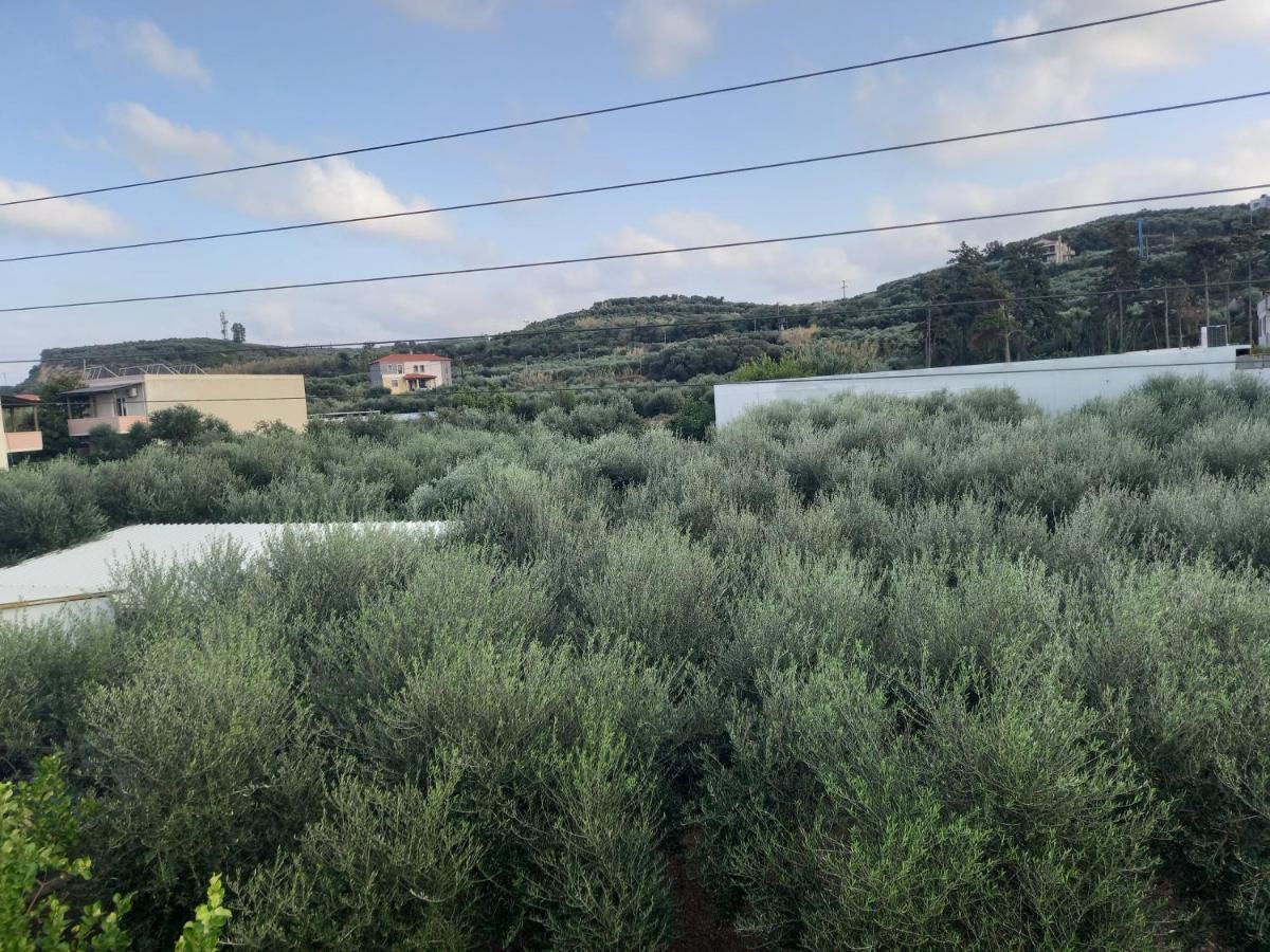 Michalis Litinas Apartments Agia Marina Dış mekan fotoğraf